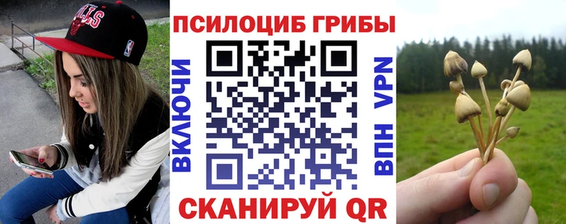Галлюциногенные грибы ЛСД  дарк нет официальный сайт  Бокситогорск 